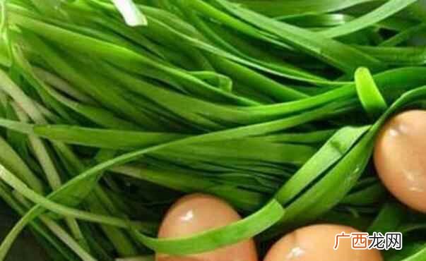 韭菜不能和什么一起吃呢 韭菜不能和什么一起吃