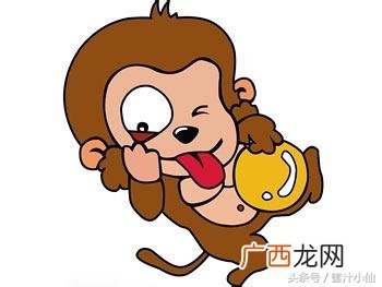 属猴命中贵人有三个 猴的贵人是什么生肖