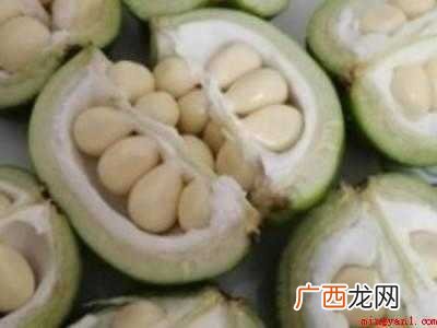 文冠果怎么吃的具体操作步骤 文冠果怎么吃
