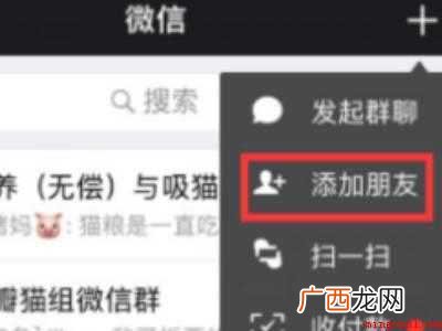 苹果怎么提取文字的具体操作步骤 苹果怎么提取文字