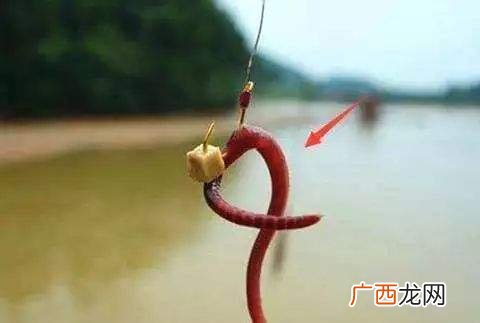 野外钓鲫鱼怎么选鱼钩最合适 野钓鲫鱼用什么钩最好