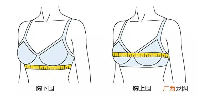 怎么选择适合自己的内衣 上胸围下胸围测量方法