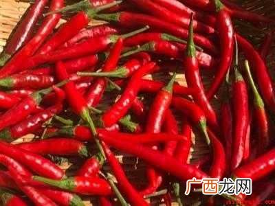 红辣椒怎么晒成干辣椒的具体操作步骤 红辣椒怎么晒成干辣椒