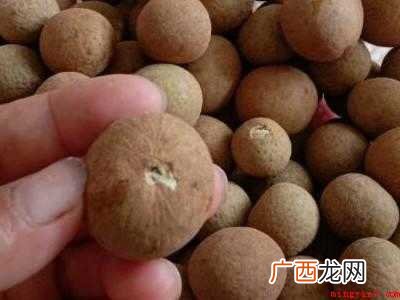 怎样晒带壳的龙眼干共分为5个步骤 怎样晒龙眼干带壳的