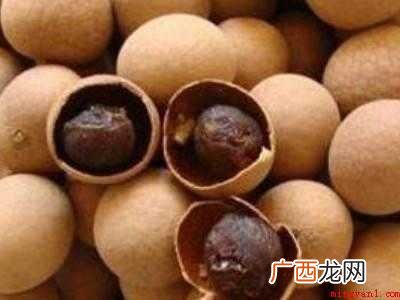 怎样晒带壳的龙眼干共分为5个步骤 怎样晒龙眼干带壳的