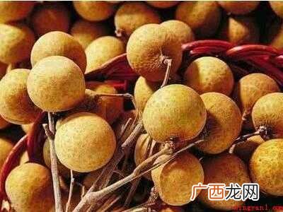 怎样晒带壳的龙眼干共分为5个步骤 怎样晒龙眼干带壳的