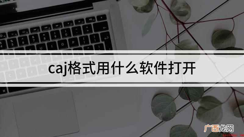 戴尔燃7000如何打开CAJ文件 caj格式用什么软件打开