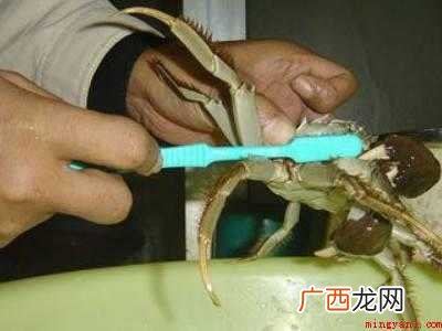 螃蟹要怎么清洗的具体操作步骤 螃蟹要怎么清洗