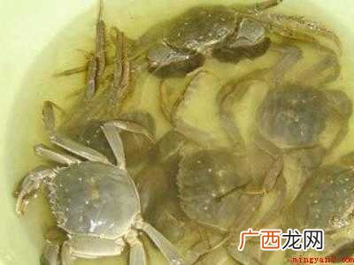 螃蟹要怎么清洗的具体操作步骤 螃蟹要怎么清洗