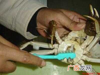 螃蟹要怎么清洗的具体操作步骤 螃蟹要怎么清洗
