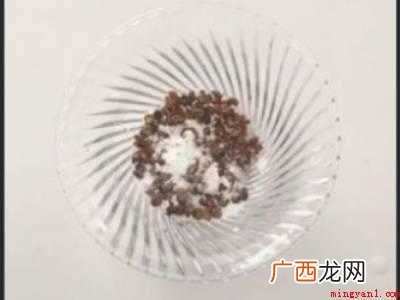 农村蚊子太多怎么消灭的具体操作步骤 农村蚊子太多怎么消灭