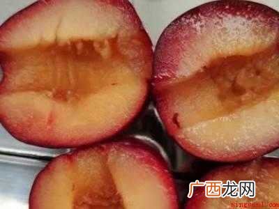 奈李怎么保存的具体操作步骤 奈李怎么保存