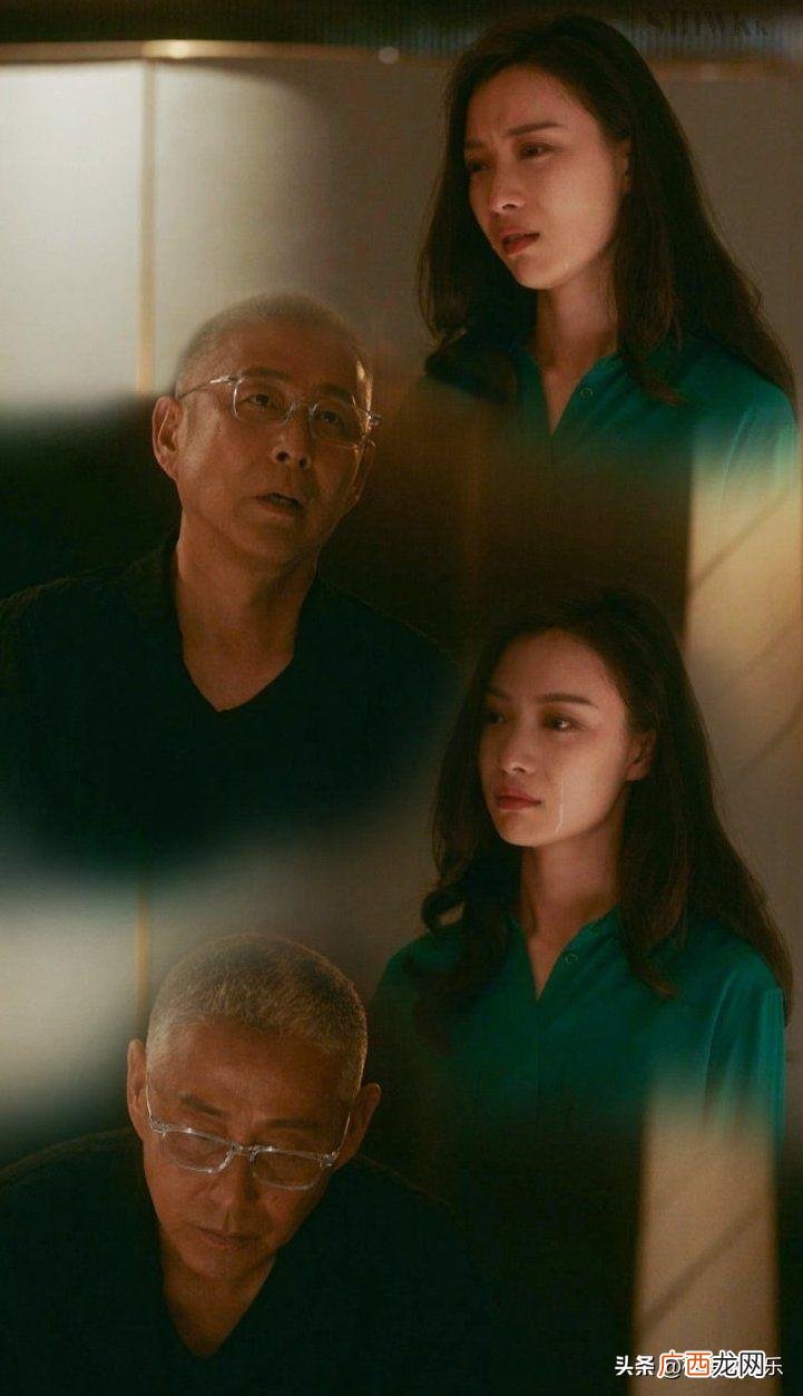 一个温柔一个霸气的结局 流金岁月陈道明和倪妮什么关系