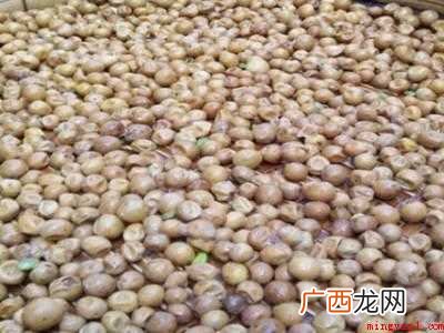 黄皮果怎样晒干的具体操作步骤 黄皮果怎样晒干