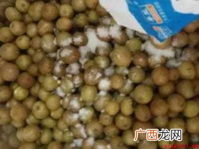 黄皮果怎样晒干的具体操作步骤 黄皮果怎样晒干