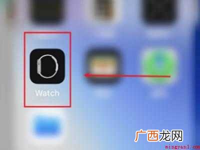 演示机型:Iphone 12 iwatch表盘上显示步数