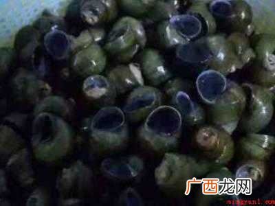 螺蛳怎么剪尾巴妙招的具体操作步骤 螺蛳怎么剪尾巴妙招