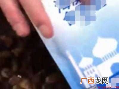 螺蛳怎么剪尾巴妙招的具体操作步骤 螺蛳怎么剪尾巴妙招