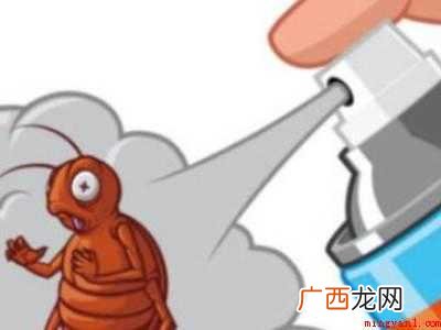 房间有蟑螂不敢睡觉怎么办