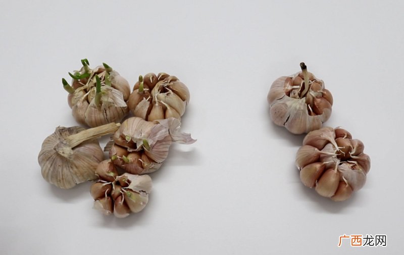 大蒜发芽能吃吗有毒吗 大蒜发芽能吃吗