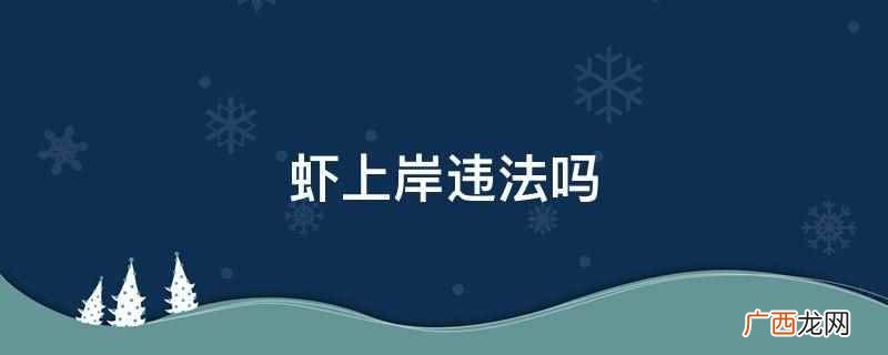 使用虾上岸违法 虾上岸违法吗