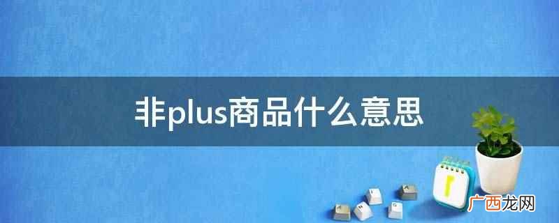 正式PLUS会员在京东商城上购买符合活动范围的商品 非plus商品什么意思
