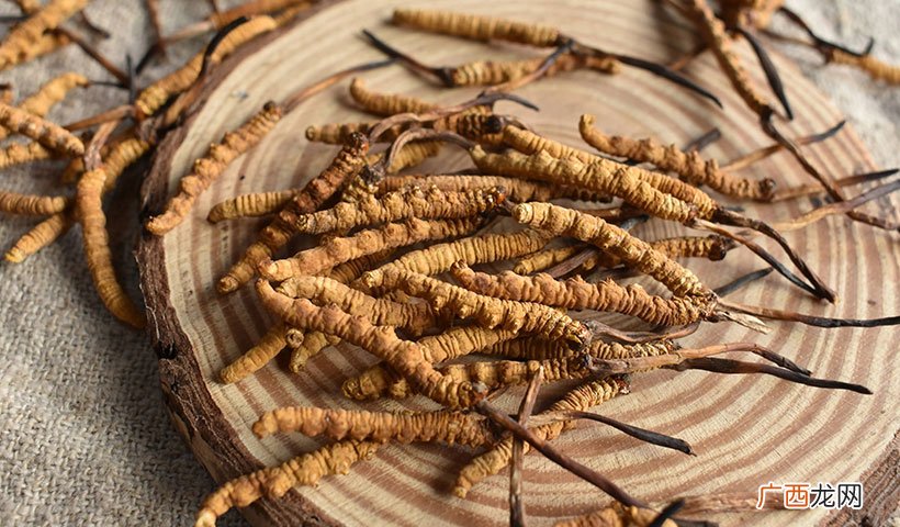 值得购买服用吗 冬虫夏草真的那么好吗
