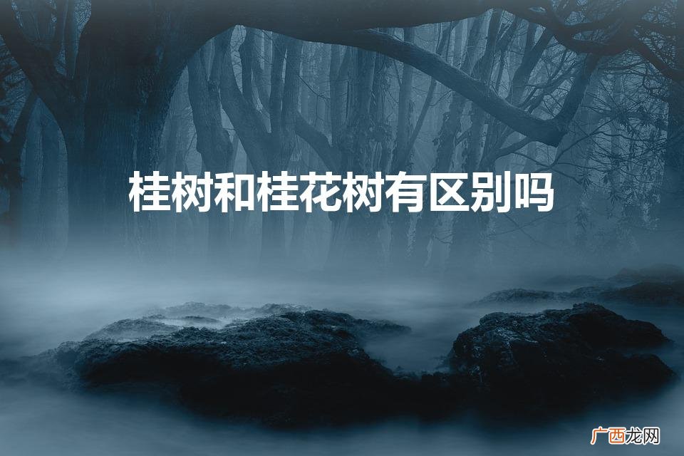 桂树和桂花树有区别吗（庭院栽什么树最旺宅)