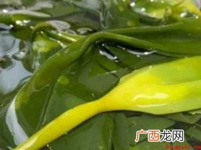 海带苗怎么凉拌才好吃的具体操作步骤 海带苗怎么凉拌才好吃