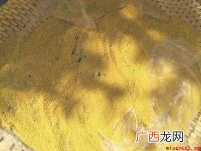 已经生了虫子的小米怎么办