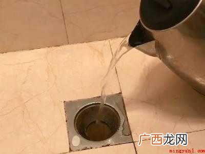 厕所里有红色细长的虫子怎么解决