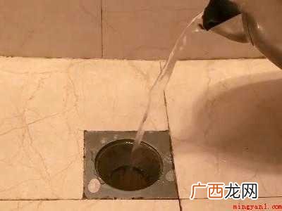 厕所里有红色细长的虫子怎么解决