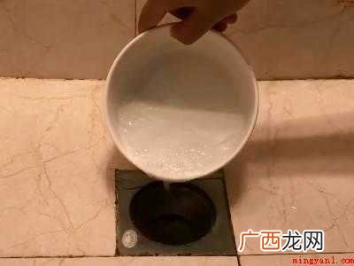 厕所里有红色细长的虫子怎么解决