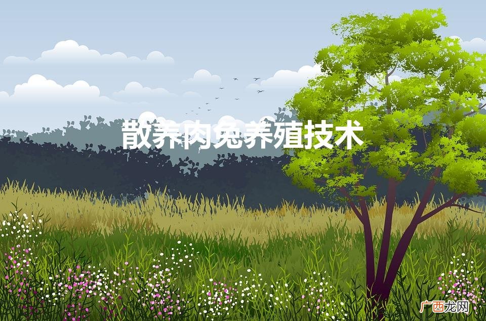 散养兔子养殖方法 怎么散养兔子 散养肉兔养殖技术