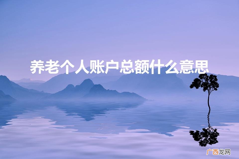 养老保险账户总额是什么意思 养老个人账户总额什么意思