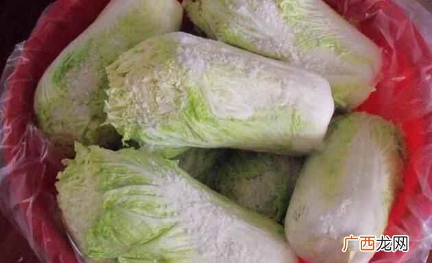没有用来烹饪的白菜该如何保存 白菜如何保存
