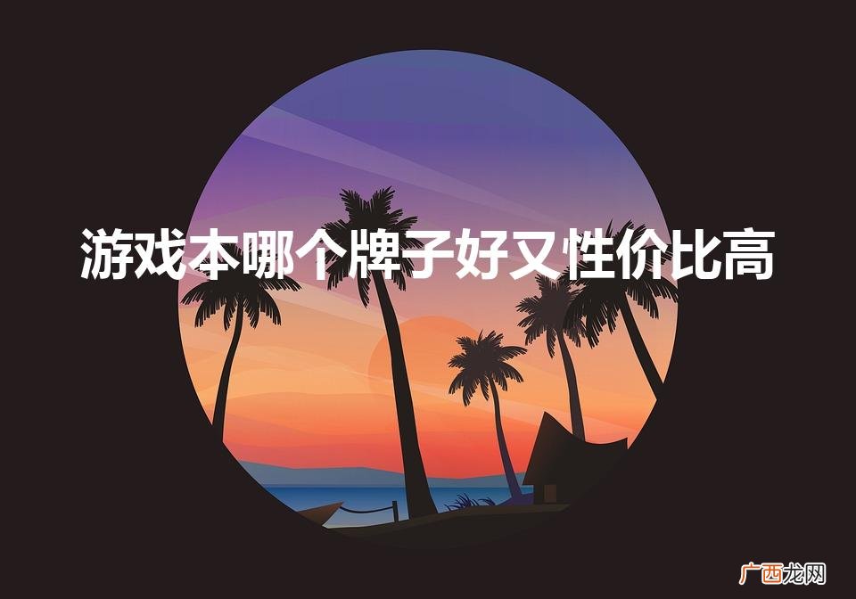 游戏本哪个牌子好又性价比高（哪个品牌的笔记本性价比比较高)