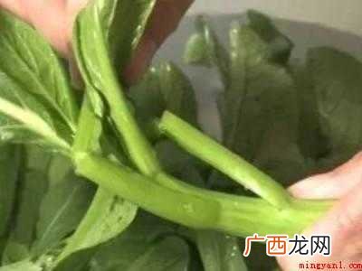 怎样让蔫了的蔬菜恢复新鲜 怎样让蔫了的蔬菜恢复