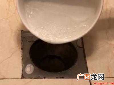 苍蝇幼虫怎么杀死的具体操作步骤 苍蝇幼虫怎么杀死