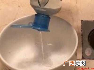 苍蝇幼虫怎么杀死的具体操作步骤 苍蝇幼虫怎么杀死