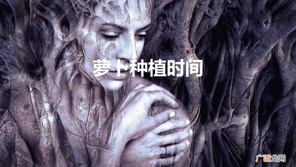 萝卜种植时间和方法 萝卜种植时间