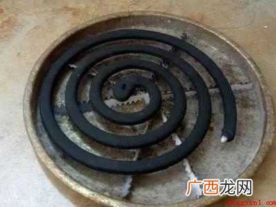 家中出现蝙蝠幼崽怎么办