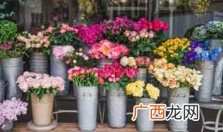 生日时适合送什么花束 适合生日送的花束