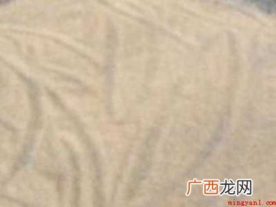 米袋里长了很多米虫怎么办