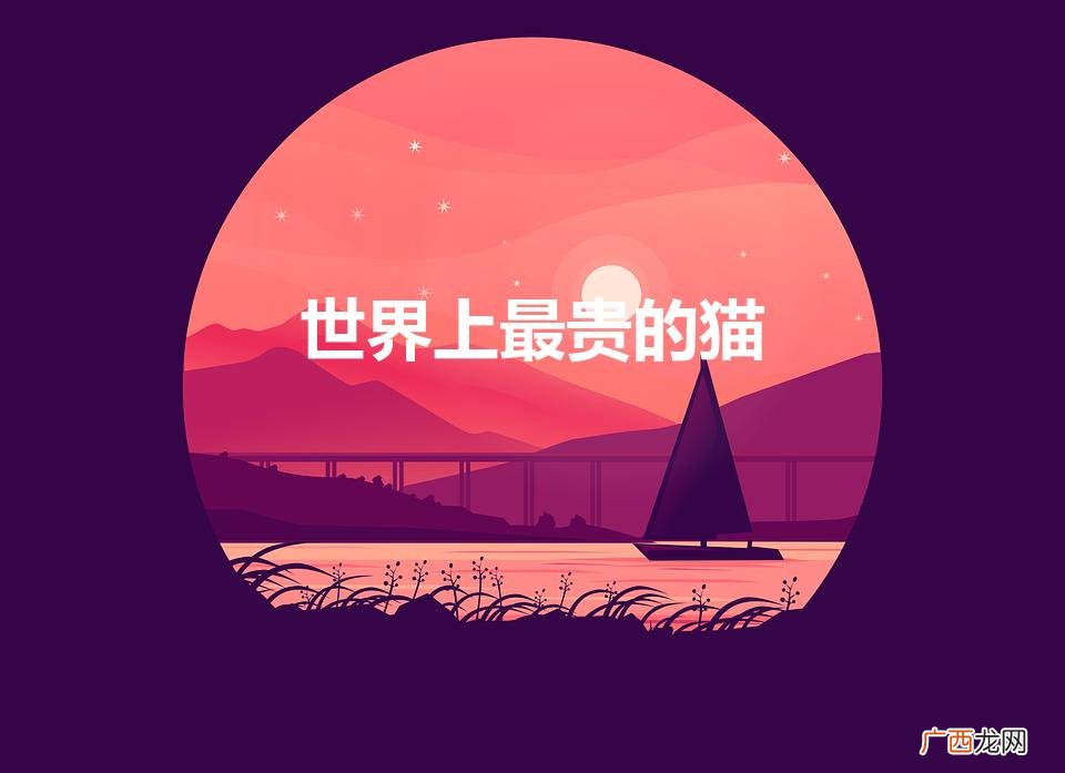 世界上最贵的猫（世界上最贵的猫前十名)