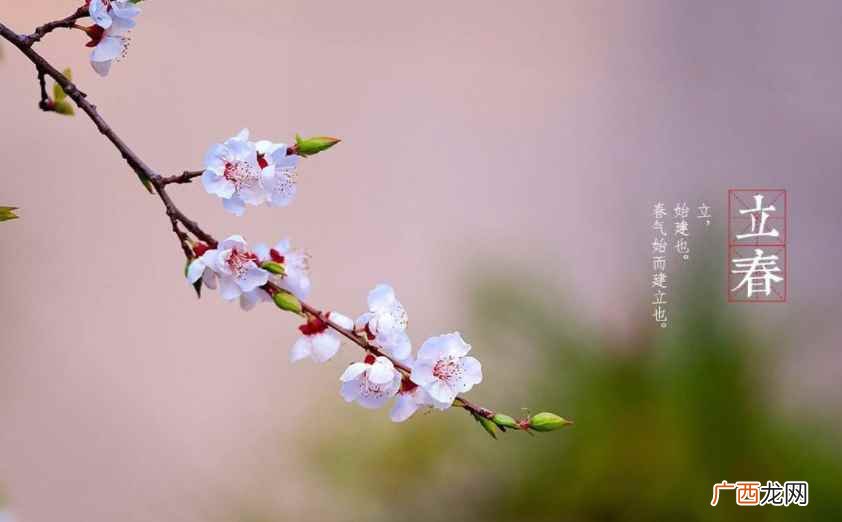 北京一带春饼口味最为可口 中国人立春吃什么食物