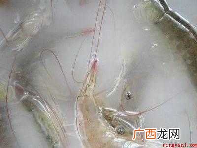 冻虾尾如何去腥味的具体操作步骤 冻虾尾如何去腥味