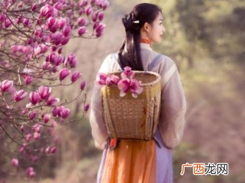 这句诗究竟表达什么意境 我与春风皆过客完整诗句