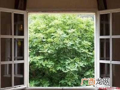 怎么灭蚊的具体操作步骤 怎么灭蚊