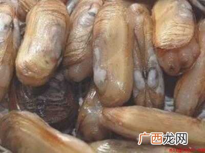 小人仙怎么处理干净的具体操作步骤 小人仙怎么处理干净